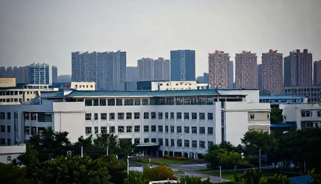 活动效果提升：从用户行为分析到体验优化